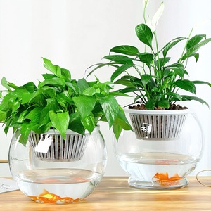 Pots de fleurs en plastique à arrosage automatique, pots de fleurs pour personnes paresseuses, adaptés à l'intérieur, en différentes formes et tailles. - Product Image 5