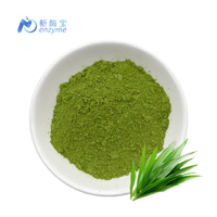 Novenzyme fournit en vrac de l'extrait naturel de feuilles de pandan en poudre séchée