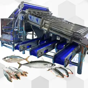 Wasserdichte Fischwalzen-Sortiermaschine Makrelen-Sortiermaschine Große Kapazität