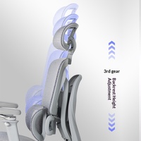 Nouvelle Arrivée Chaise Ergonomique à Double Soutien Dorsal avec Cadre en Acier, Accoudoirs 6D et Hauteur Réglable pour Bureau et Ordinateur