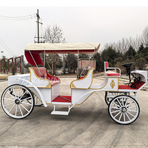 Calèche de Mariage Électrique Vintage ZOWN, 4 Roues, Blanc Pur, Couleur Personnalisable, Style Européen Tendance, 4-6 Personnes - Product Image 5