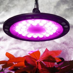 Lampes de croissance LED rondes à spectre complet puissantes de 200 W pour les fleurs et les plantes fruitières dans les serres - Product Image 6