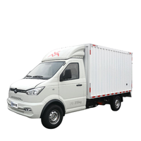 Pick-up électrique, Mini-pick-up automatique, Van de livraison électrique pour adulte, petite voiture électrique