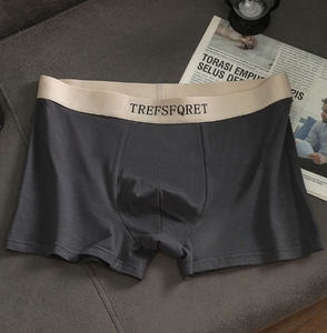 Custom Logo <strong>Men's</strong> Knitted Cotton Boxer <strong>Briefs</strong> Underwear Shorts Breathable Anti-Bacterial - Product Image 6