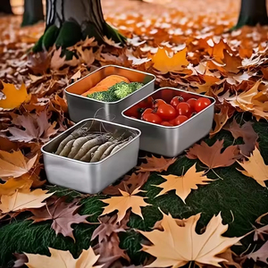 Boîte à lunch bento en gros pour micro-ondes, récipient alimentaire en acier inoxydable avec couvercle en plastique - Product Image 4
