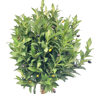 Arbre d'<span class=keywords><strong>olivier</strong></span> artificiel haut de gamme personnalisé de 140 cm (4,6 pieds) avec tronc en bois réaliste en pot pour la décoration de bureau ou de couloir - Product Image 4