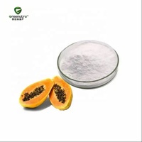 Poudre de papaïne 100000U/g, enzyme protéolytique naturelle issue de la papaye, pour compléments alimentaires, qualité alimentaire, en vrac