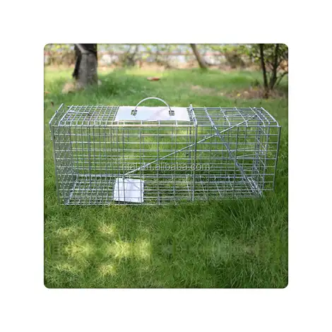 Cage pliable pour animaux vivants, piège à animaux, renard, raton laveur, haute qualité