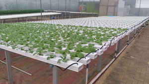 Hydrocultuur Groeiend Hydrocultuursysteem Verticale Landbouw <span class=keywords><strong>Co2</strong></span>-controller - Product Image 4