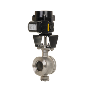 Heq2 150nm Clase Ip67 con Válvula de Bola Tipo V Cf8 304 316 Dn80 3 Pulgadas - Product Image 4