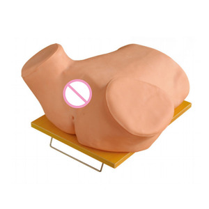 Modelo de Maniquí para Pruebas y Evaluación de Punción del Forno <span class=keywords><strong>Vaginal</strong></span> Posterior, Material de PVC para Entrenamiento en Ciencias Médicas - Product Image 1