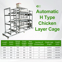 Nouveau système de cage à étages de type H haute densité, alimentation/abreuvement automatiques, collecte des œufs, 3-4 niveaux, 96-128 oiseaux, volaille en acier galvanisé