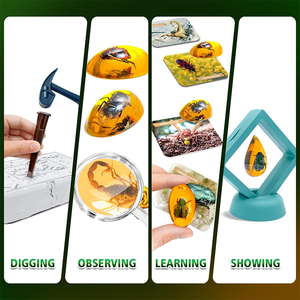 Insektenfossil-Ausgrabungsset STEM Wissenschaftsspielzeug Kinder-Archäologie-Set mit Echten Konservierten Insekten in Harz Biologie-Lerngeschenk - Product Image 5