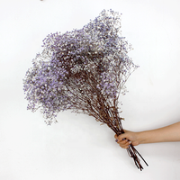 Bunga Gypsophila Kering Putih Awet 60cm untuk Kerajinan DIY Dekorasi Thanksgiving Pernikahan