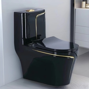 Modern Small Space Dual-Flush <strong>Toilet</strong> <strong>Seat</strong> Siphon Colorful Bathroom <strong>Toilet</strong> with Sink - Product Image 3