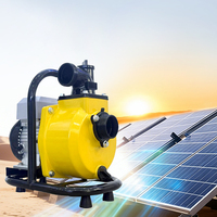 Pompe à eau solaire DC de surface de 2 pouces, 1 CV, 0,75 kW pour l'irrigation
