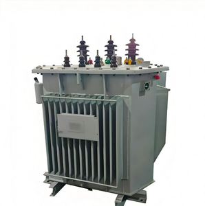 Transformador S13 Sumergido en Aceite con Certificación CE, 30-2500kVA, 10kV/35kV, Trifásico, Aleación Amorfa, Baja Pérdida, 50/60Hz, Toroidal - Product Image 4