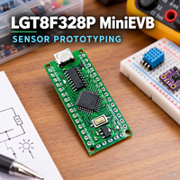Carte de développement de microcontrôleur LGT8F328P LQFP32 MiniEVB avec module Micro USB Type-C pour prototypage de capteurs – Vente en gros