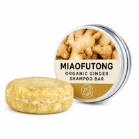 Barre de shampoing et revitalisant solide végétalienne au gingembre, bio et à base de plantes, antipelliculaire, lissante, nourrissante, régulatrice de sébum, rafraîchissante, pour adultes aux cheveux gras