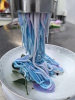 Mini machine à tourbillon de crème glacée molle de spaghetti d'acier inoxydable pour créer diverses nouilles de gelato formées