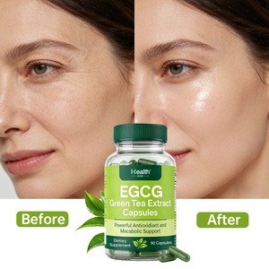 OEM Herbal Supplements Private Label Green Tea Extract Capsules 500mg OPC 95% Proanthocyanidins Antioxidant Supplement for Skin - Product Image 6