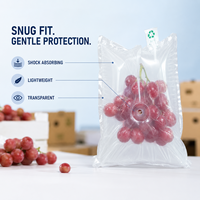 Film protecteur gonflable pour fruits en PE, résistant aux chocs, pour le transport (taille personnalisée)