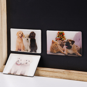 Aimants de réfrigérateur Hangchuang 5x5 cm, photo de chat et de chien, résine époxy acrylique, cadeau créatif DIY - Product Image 2
