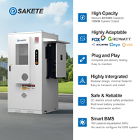 Système de stockage d'énergie commercial Sakete 241 kWh 215 kWh, armoire ESS extérieure, onduleur hybride 125 kW avec batterie LiFePO4 pour l'UE