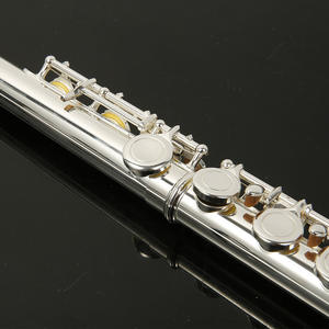 Instrument de flûte en C nickelé à 16 trous ouvert/fermé, niveau d'examen débutant vent occidental, clé E universelle, ténor professionnel - Product Image 4