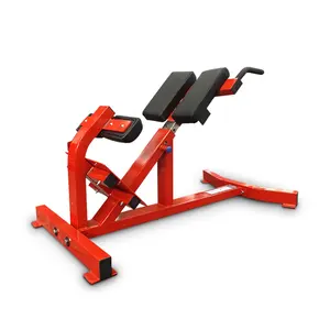 力量训练服务板加载锻炼健身房健身回延伸锻炼