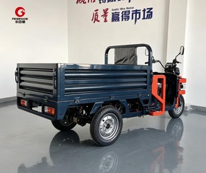 Triciclo Elettrico da Carico con Autonomia di 70km, Nuovo Triciclo Elettrico a 3 Ruote ad Alta Capacità per Distribuzione Merci in Zone Rurali - Product Image 3