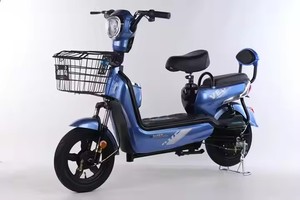 Factory Price Widely Used 48v 350w Fashion Mid Drive Bike - Product Image 3