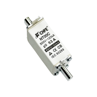 Capacité de rupture élevée 32A Lame de cuivre en céramique évaluée NH00 Fusible Matériau en porcelaine Lien de fusible carré