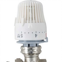 Vanne de régulation thermostatique réglable pour radiateur avec réglage manuel, pour eau, AC 220V, port de 4 pouces