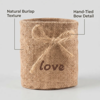 Kit de démarrage pour la culture de bonsaïs d'intérieur, sacs de plantation en jute écologique, graines de fleurs, disques de terre, outils de jardinage, kit cadeau pour la maison et le jardin