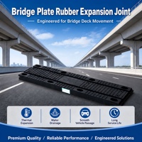Joint de dilatation en caoutchouc sismique pour pont / Joint de dilatation Transflex / Joint de dilatation EPDM pour ponts routiers