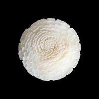 Livraison directe |   Diffuseurs de parfum en roseaux de papier Tongcao de 5/6 cm, fleurs en bois Sola, plusieurs styles disponibles, couleur personnalisable, décorations teintables