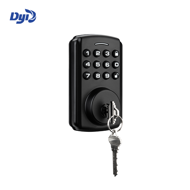 Diyu Smart Security RFID Electronic Password Code Cloud Locker Cabinet Tuya App Aluminium Alloy Grade C Security for Interior · image 2