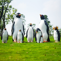 Résine grandeur nature artisanat en fibre de verre écureuil perroquets lapin accessoires rhinocéros dauphin pingouins sceau ours polaire Statues pour les événements de fête