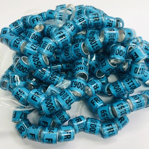 2025台湾DVアルミプラスチックレーシングピジョンリングプレミアムペットアクセサリー - Product Image 3