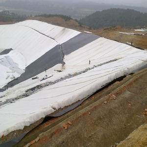 Vente d'usine 100-500gsm tissu géotextile non tissé prix bas géotextile route humidité jardin Filtration pente Protection - Product Image 5