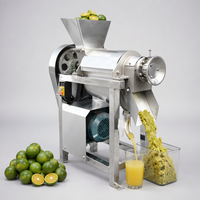 Industriële Calamansi-sapcentrifuge, citroensapcentrifuge, passievrucht- en groentesapcentrifuge, commerciële koudgeperste granaatappelpersmachine