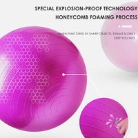 Ballon de Gymnastique Gonflable en PVC Souple de 65 cm pour Exercices de Yoga et Fitness – Vente Flash