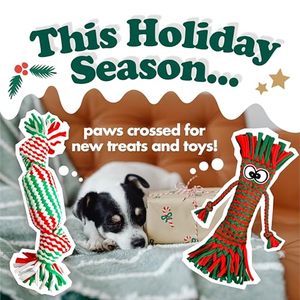 Jouets pour chiens écologiques sans rembourrage, qui couinent, en peluche froissée, lot de 2, sans garniture, pour les races petites et moyennes - Product Image 5