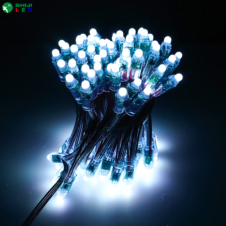 SHIJI 12v Full Color LED Pixel Christmas String Lights IP67 Smart Outdoor Lights