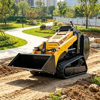 Minipala cingolata diesel agricola per fattoria, giardino e frutteto, in promozione dalla Cina