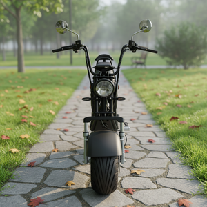 Motocicleta Eléctrica EEC 2026, Ebike de Largo Alcance, 2 Plazas con Alforjas para Adultos, Scooter Eléctrico de 45 km/h - Product Image 1