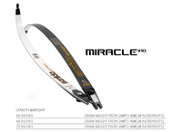 Sanlida X10 Miracle Competition arc classique ILF Riser 25 "gauche/droite membres 66/68/70" 16-46lbs tir à l'arc cible chasse arc