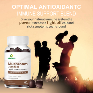 Mélange de champignons OEM/ODM pour la vitalité quotidienne – Complément de santé en gommes aux champignons pour le soutien immunitaire naturel et la santé cognitive - Product Image 6