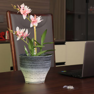 กระถางต้นไม้พลาสติกมาเซตัสแบบมีผิวด้านสำหรับตกแต่งบ้านในร่มกระถางต้นไม้ขนาดใหญ่สไตล์จีนใหม่ - Product Image 4